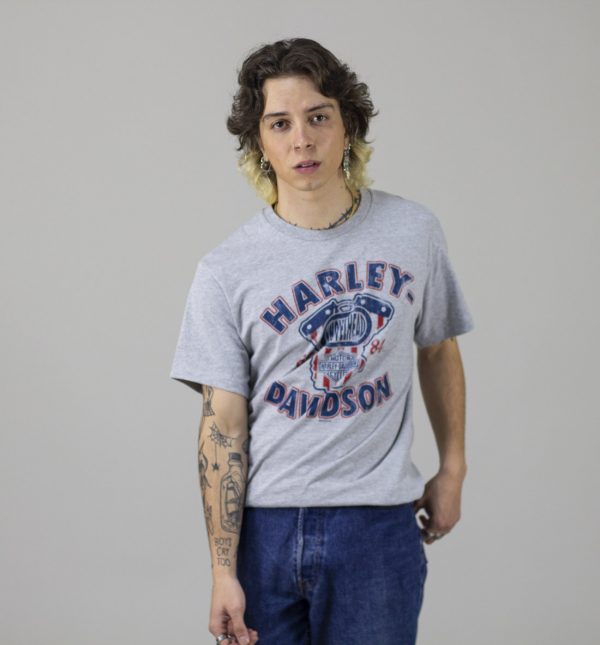 Camiseta gris Harley-Davison